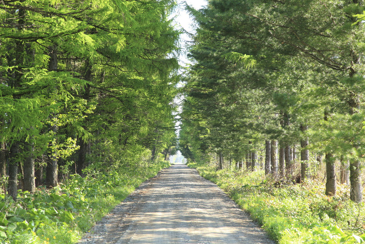 地域に根ざした家庭医として